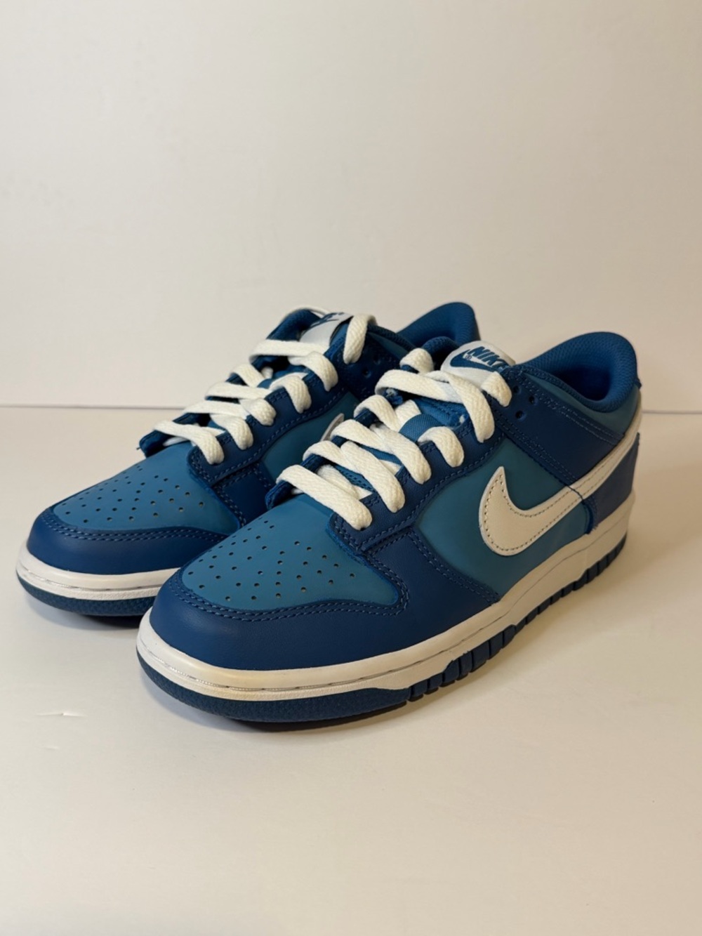 Nike Kids Blue and White Low Top Sneakers